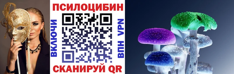 кракен   Шлиссельбург  Псилоцибиновые грибы ЛСД 