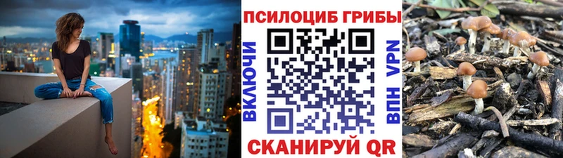 Галлюциногенные грибы мицелий Шлиссельбург